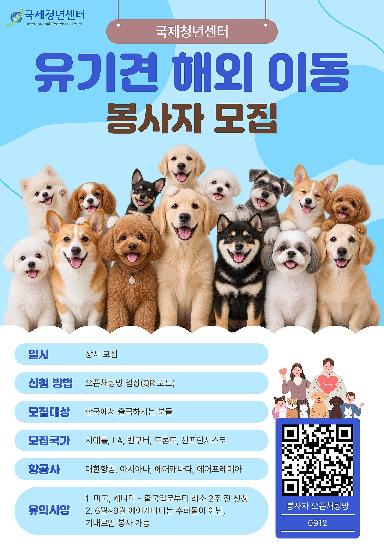 유기견 해외 입양을 위한 해외이동 봉사자 모집 (LA, 샌프란시스코, 씨애틀, 벤쿠버, 토론토 출국자)